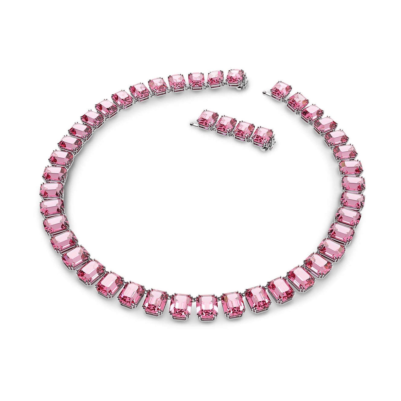 MILLENIA:ALL ARD ROSE/RHS Design No: 5608807