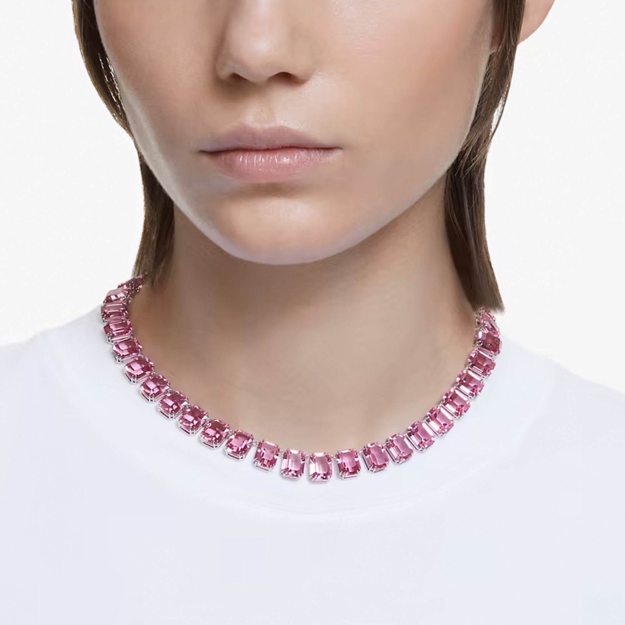MILLENIA:ALL ARD ROSE/RHS Design No: 5608807