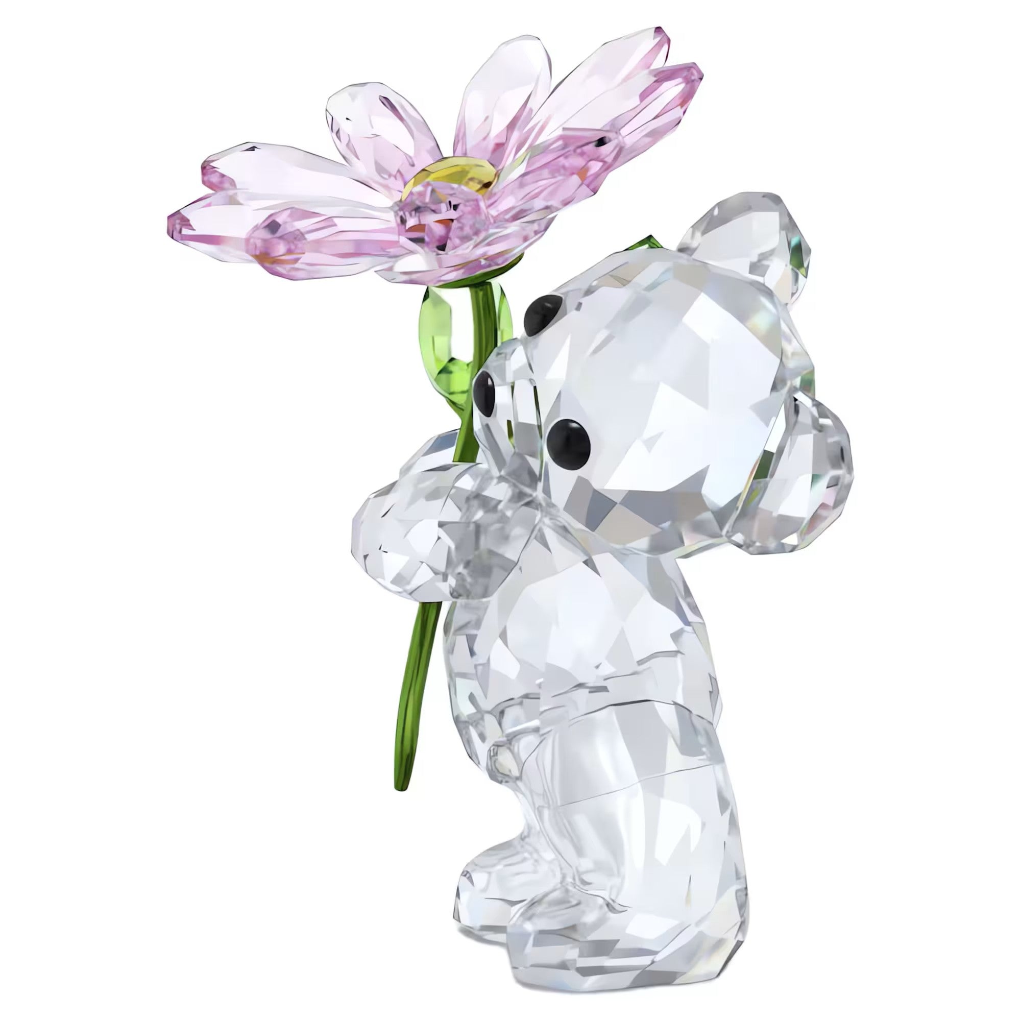 Kris Bear: A Daisy For You. Design No: 5675327