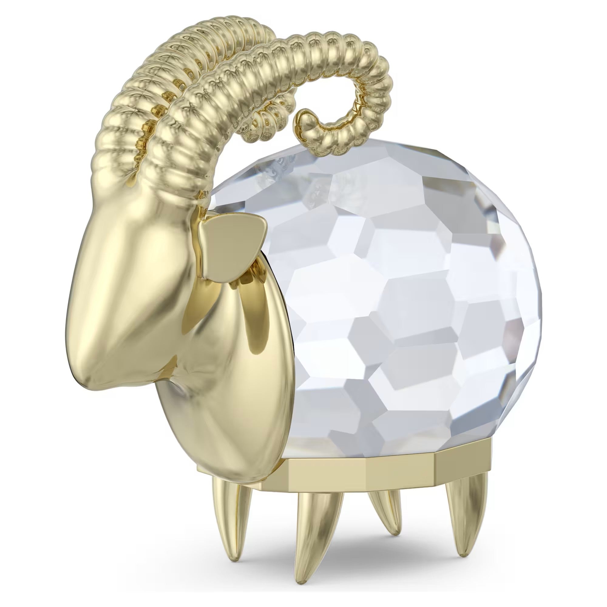 Zodiac: Capricorn. Design No: 5678078