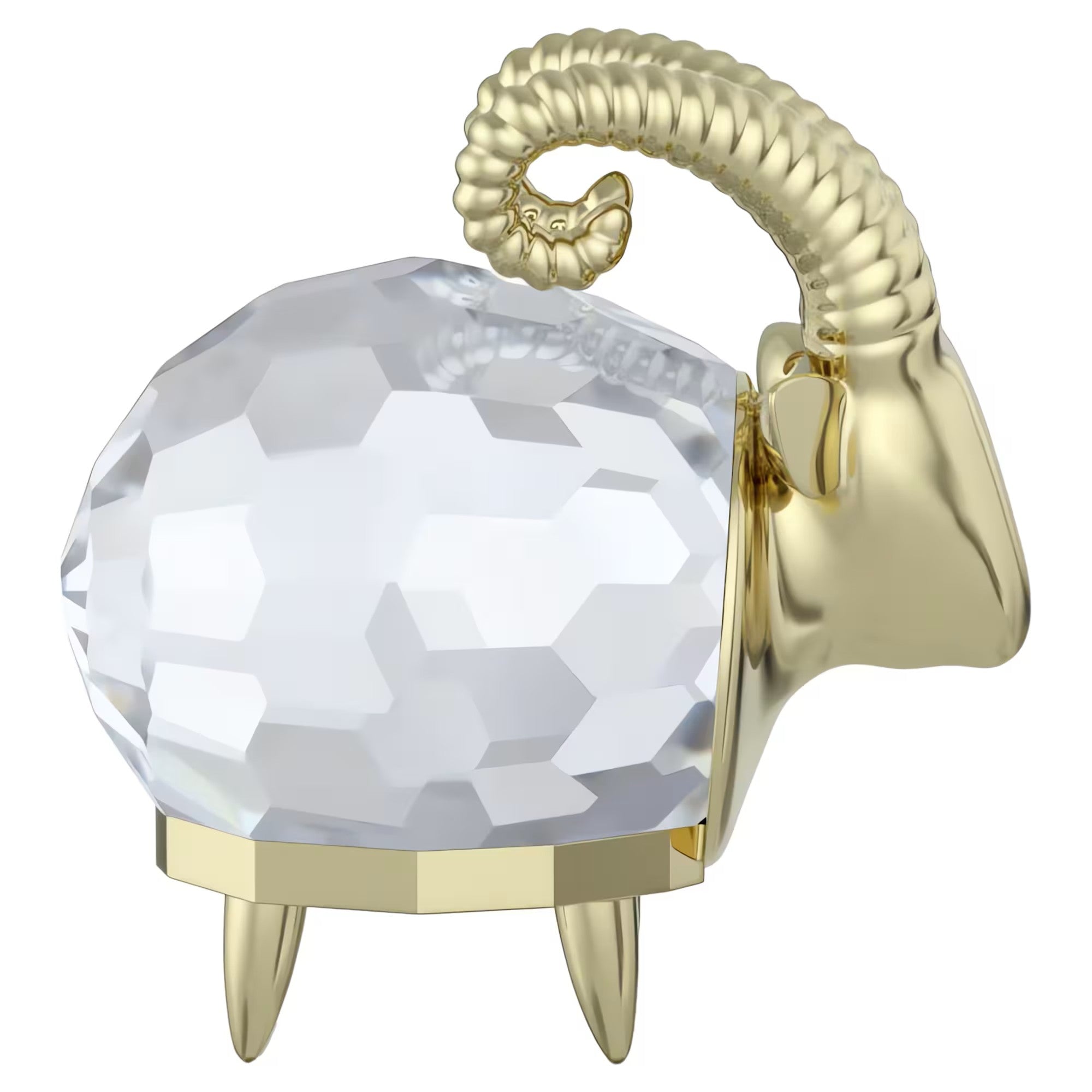 Zodiac: Capricorn. Design No: 5678078