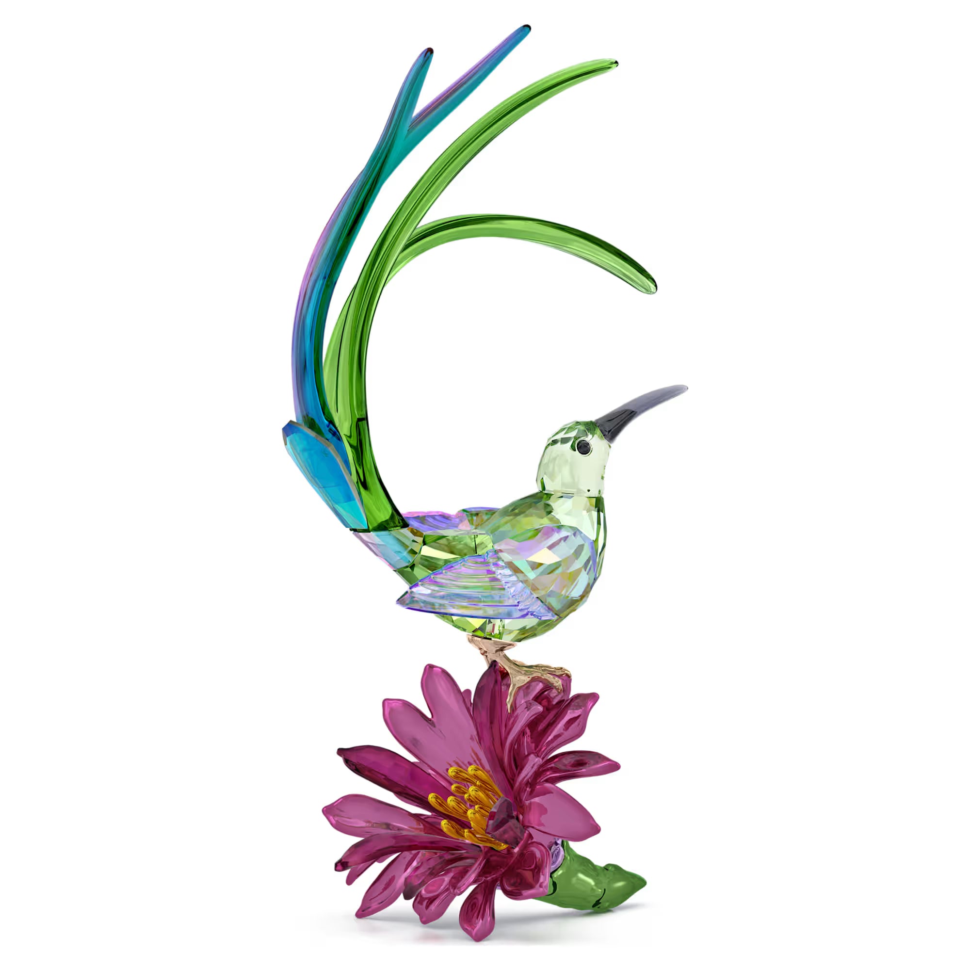 Idyllia: Sugarbird And Cactus Flower. Design No: 5675166