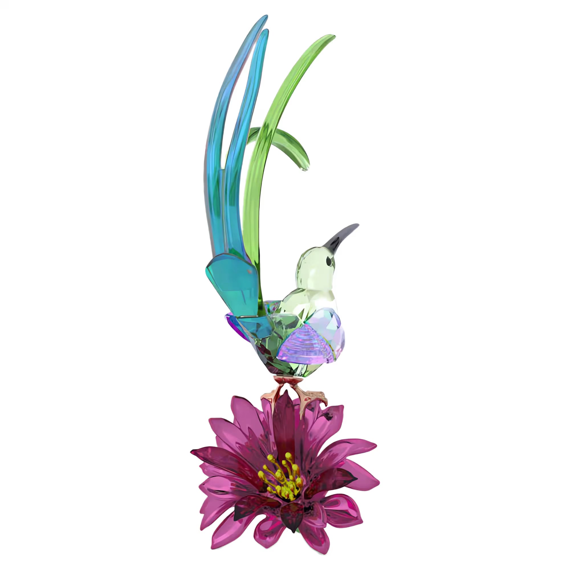 Idyllia: Sugarbird And Cactus Flower. Design No: 5675166