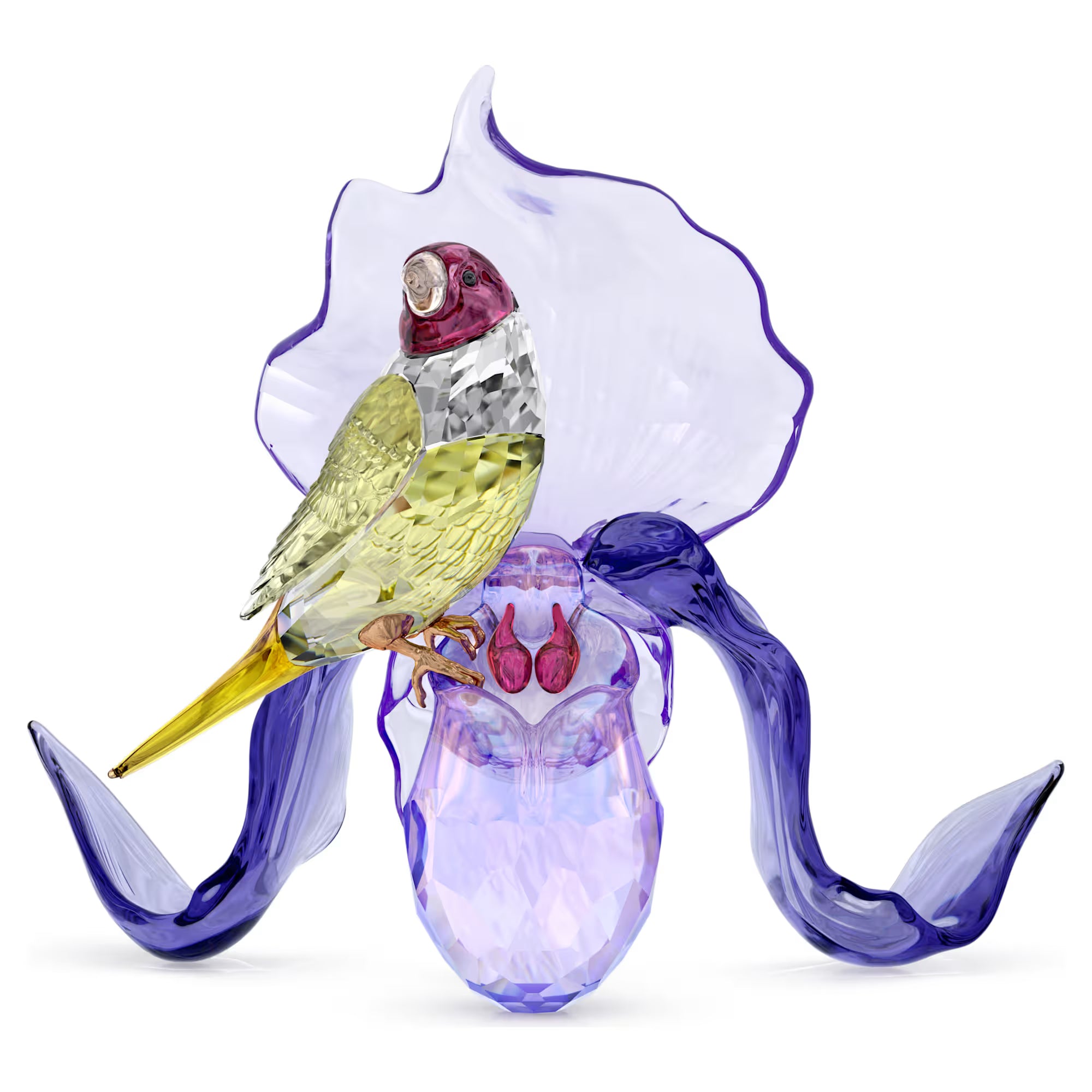 Idyllia: Gouldian Finch And Orchid. Design No: 5675211