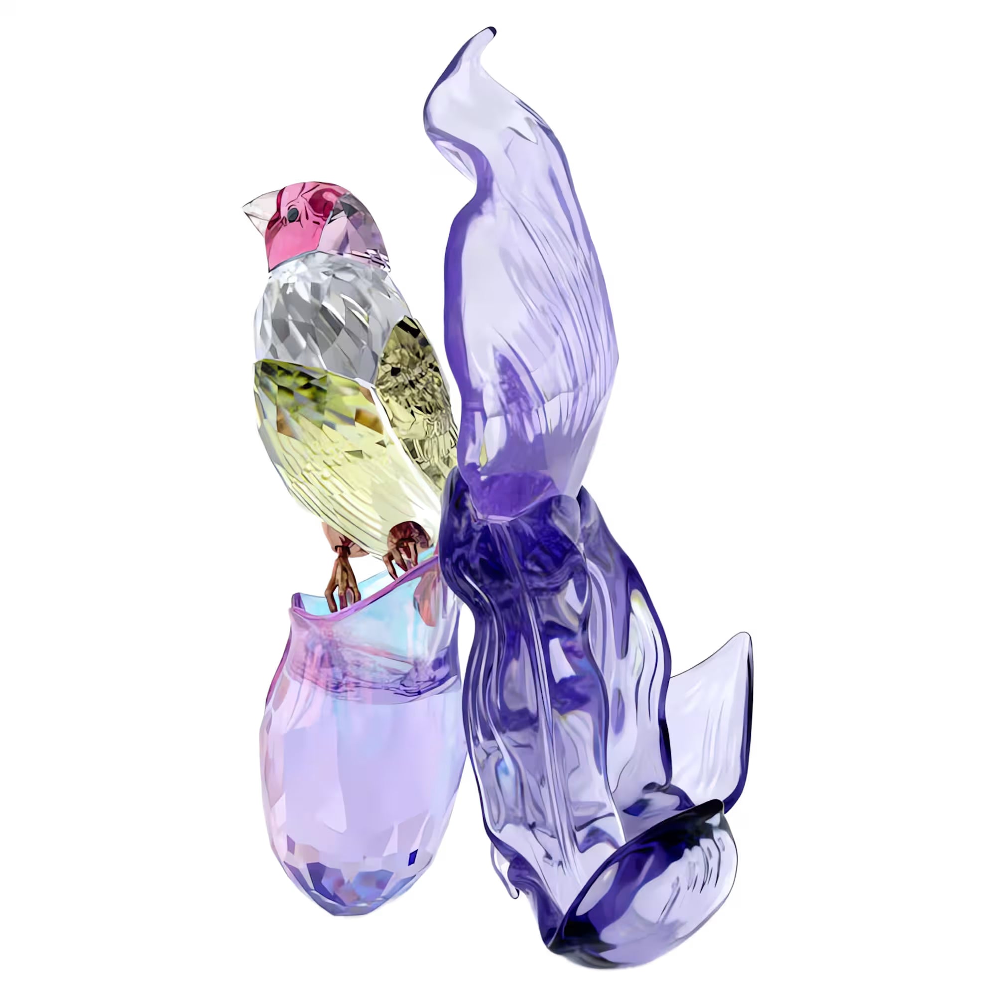 Idyllia: Gouldian Finch And Orchid. Design No: 5675211