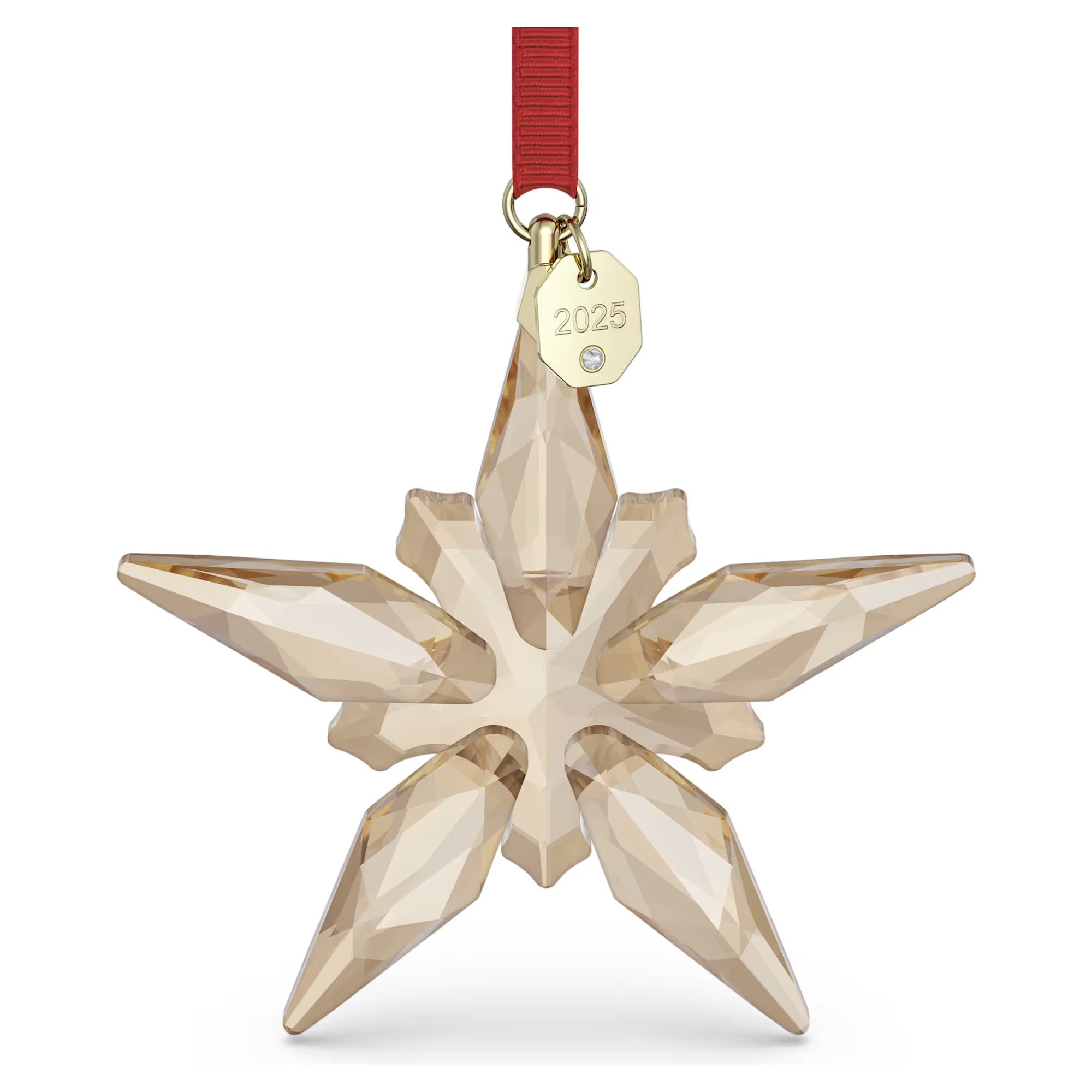 Annual Edition: Ornament Festive 2025. Design No: 5701826