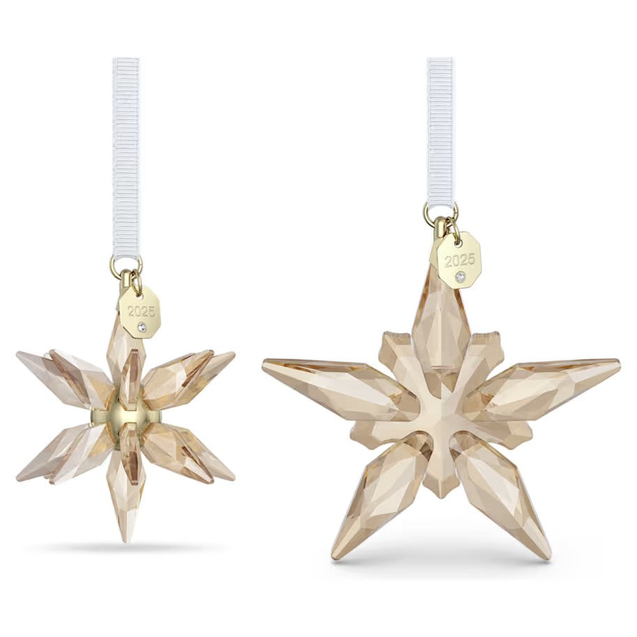 Annual Edition: Ornament Set Festive3D 25. Design No: 5701824