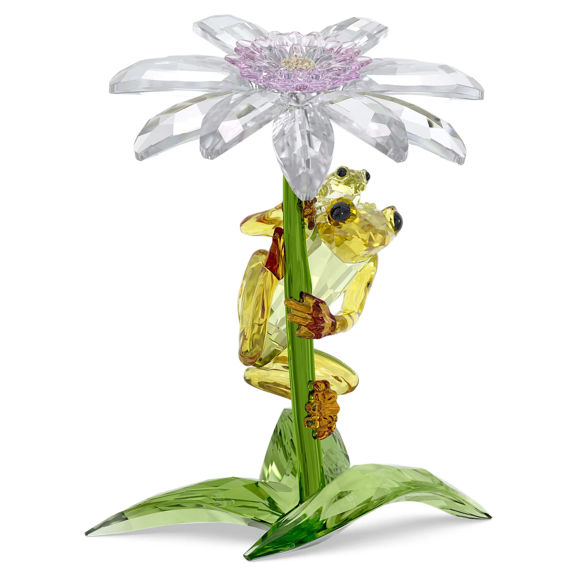 IDYLLIA:FROGS AND FLOWER Design No: 5670892