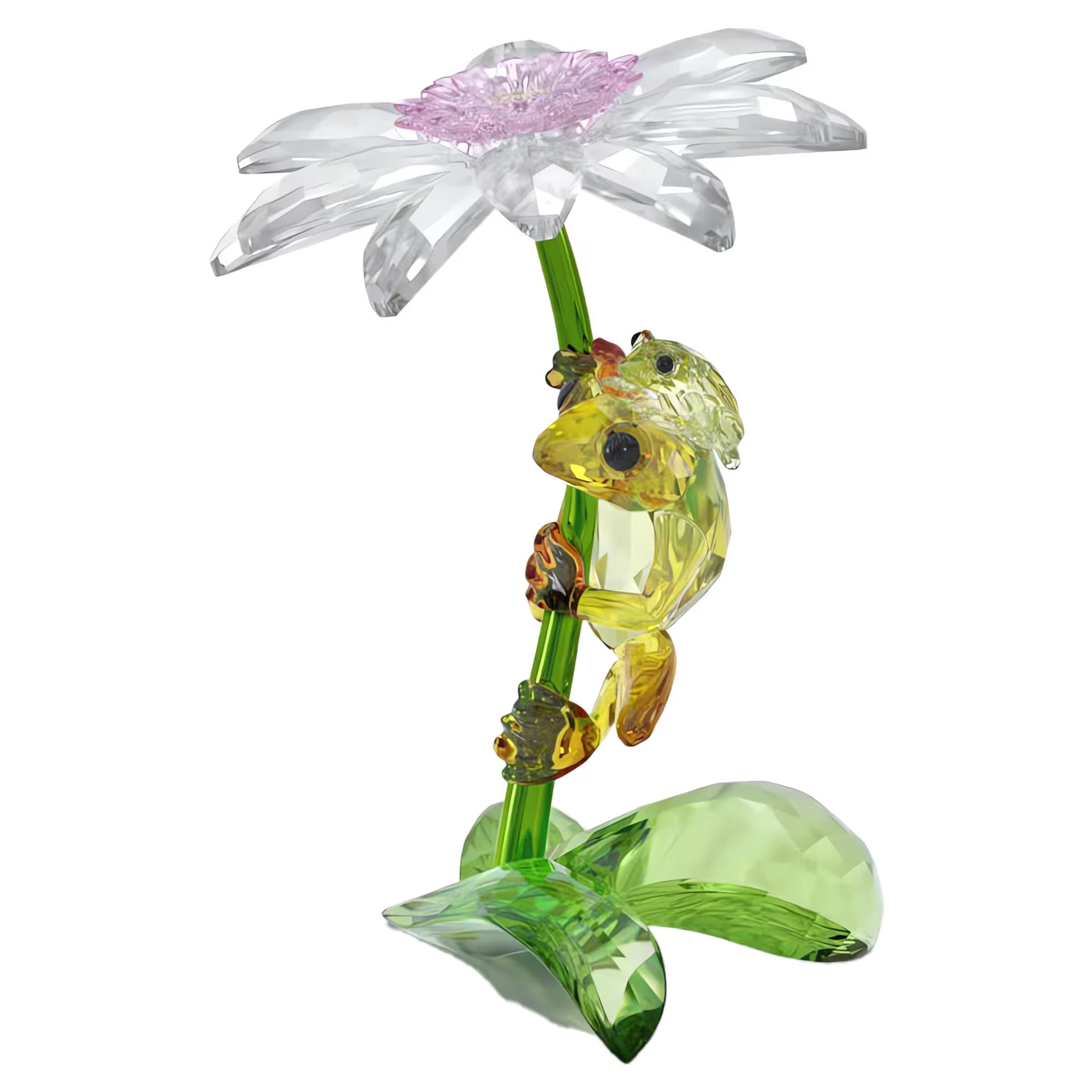 IDYLLIA:FROGS AND FLOWER Design No: 5670892