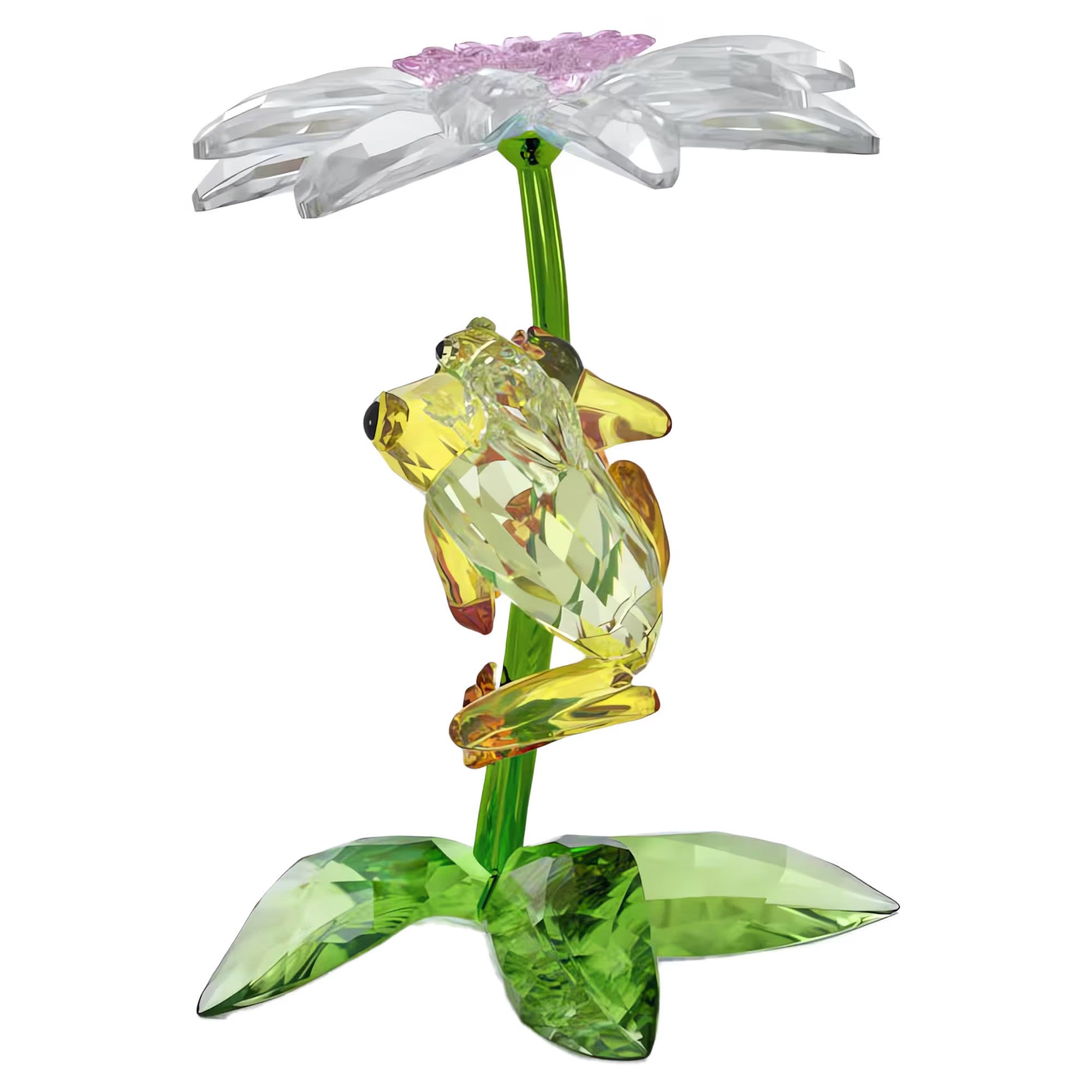 IDYLLIA:FROGS AND FLOWER Design No: 5670892